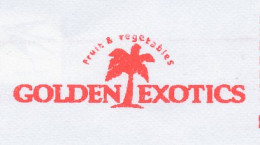 Meter Cut Netherlands 2001 Palm Tree - Fruit - Vegetables - Golden Exotics - Alberi
