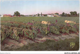 ADIP5-33-0454 - ST-YZAN-DE-SOUDIAC - Le Vignoble  VIGNES VITICULTURE - Other & Unclassified