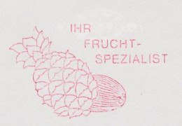 Meter Cut Netherlands 1994 Pineapple - Obst & Früchte