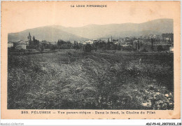 ADJP9-42-0790 - PELUSSIN - Vue Panoramique - Dans Le Fond - La Chaine Du Pilat - Pelussin