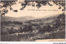 ADJP9-42-0786 - PELUSSIN - Massif Du Pilat - Vu Du Truchet - Pelussin