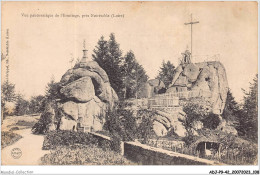 ADJP9-42-0775 - Vue Panoramique De L'ermitage Pres NOIRETABLE  - Noiretable