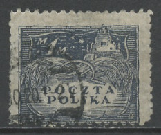 Pologne - Poland - Polen 1919 Y&T N°167 - Michel N°109 (o) - 1m Symbole De L'agriculture - Usados