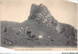 ADUP11-39-1045 - SALINS-LES-BAINS - Un Pic Du Mont Poupet  - Dole