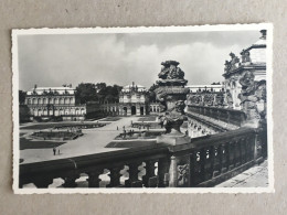Germany Deutschland - Dresden Im Zwinger Palace Schloss Palais Garden Park - Other & Unclassified