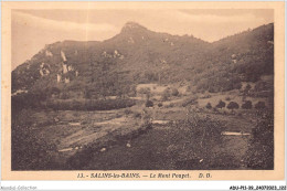 ADUP11-39-0981 - SALINS-LES-BAINS - Le Mont Poupet  - Dole