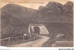 ADUP11-39-0932 - SALINS-LES-BAINS - Le Mont Poupet Et Le Pont Rousset  - Dole