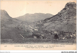 ADUP11-39-0926 - SALINS-LES-BAINS - Le Fort Saint-andré - Le Mont Poupet Et Le Fort Belin  - Dole