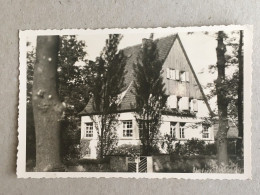 Germany Deutschland - Hiddesen Photo Wolf Villa House Pension Mansion - Andere & Zonder Classificatie