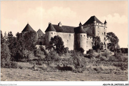 ADUP4-39-0319 - LONS-LE-SAUNIER - Le Château De Pin - Lons Le Saunier