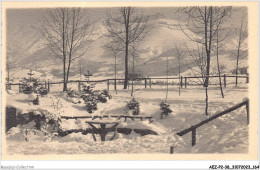 AEZP2-38-0185 - VILLARD-DE-LANS - Le Cornafion Vue De L'hotel De Paris - Villard-de-Lans