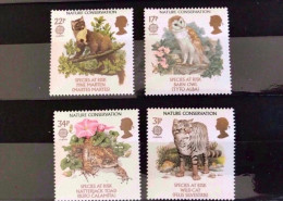 ANGLETERRE 1986 EUROPA GB 4 V Neuf ** MNH Owl Birds Wild Cat Frog GREAT BRITAIN - Autres & Non Classés