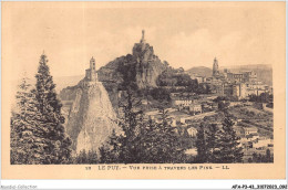 AFAP3-43-0266 - LE PUY - Vue Prise à Travers Les Pins - Le Puy En Velay