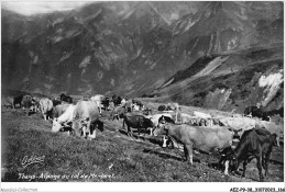 AEZP9-38-0823 - THEYS - Alpage Au Col Du Merdaret  - Theys