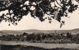 Echaudelys - Panorama ( Carte Photo) - Sonstige & Ohne Zuordnung