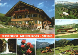 72502818 Steibis Ferienhof Meisburger Steibis - Oberstaufen
