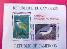 CAMEROUN 1991 - 1 Bloc Neuf ** Passereau Ucello Oiseau Bird Pájaro Vogel Cameroon - Sperlingsvögel & Singvögel
