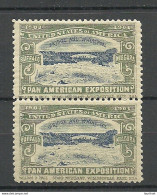 USA 1901 Pan American Exposition 1901 Buffalo & Niagara Advertising Poster Stamp Reklamemarke As Pair MNH - Ungebraucht