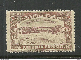 USA 1901 Pan American Exposition 1901 Buffalo & Niagara Advertising Poster Stamp Reklamemarke MNH - Cinderellas