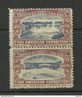 USA 1901 Pan American Exposition 1901 Buffalo & Niagara Advertising Poster Stamp Reklamemarke As Pair MNH - Neufs