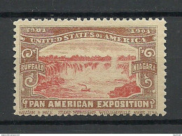 USA 1901 Pan American Exposition 1901 Buffalo & Niagara Advertising Poster Stamp Reklamemarke (*) - Erinnofilie