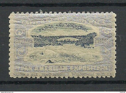 USA 1901 Pan American Exposition 1901 Buffalo & Niagara Advertising Poster Stamp Reklamemarke MNH - Unused Stamps