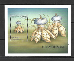 Central African 1999 Mushrooms - Fungi From Around The World MS #2 MNH - Champignons