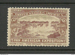 USA 1901 Pan American Exposition 1901 Buffalo & Niagara Advertising Poster Stamp Reklamemarke (*) Mint No Gum - Ungebraucht