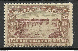 USA 1901 Pan American Exposition 1901 Buffalo & Niagara Advertising Poster Stamp Reklamemarke (*) Mint No Gum - Erinnophilie