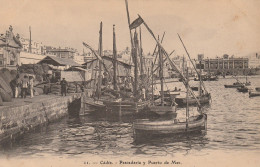 Pescaderia Y Puerto De Mar - Cádiz