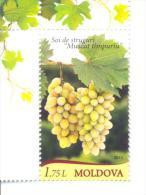 2013. Moldova, Grape, 1v, Mint/** - Moldawien (Moldau)