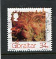 GIBRALTAR - 1994  34p  MARINE LIFE  FINE USED - Gibilterra