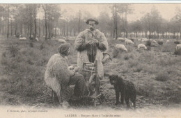 LANDES- Bergers Filant à L'aide Du Rouet - Moutons - Chien - Other & Unclassified