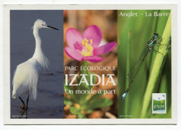 Cpm - ANGLET La Barre - Parc écologique IZADIA - Oiseaux Libellule - Andere & Zonder Classificatie