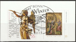 Deutschland 2008 Aus MH 76 Winter Mi-Nr. 2700 - 2701 Paar O Gest. EST Bonn ( B 2907 ) - Used Stamps