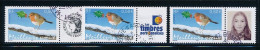 France 2003 - 3621A+Aa Trois Timbres Meilleurs Voeux Rouge-gorge  Personnalisé - Oblitéré - Used Stamps