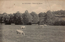 58 , Cpa  LA COULISSE , Vallée Du Mazou  (15381) - Other & Unclassified