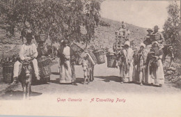 A Travelling Party - Gran Canaria