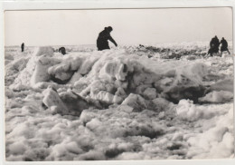 MALO-les-BAINS (59) La Plage 4 Fevrier 1954 - Carte-photo (Photo DESRUMAUX à MALO) 105x150  Glacée - Malo Les Bains