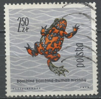 Pologne - Poland - Polen 1963 Y&T N°1268 - Michel N°1402 (o) - 2,50z Grenouille Rouge - Used Stamps