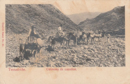 Caravana De Camellos - Tenerife