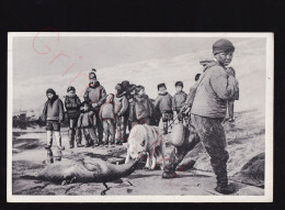 Uniartoq - Garçon Groenlandais Avec Un Phoque - Postkaart - Groenlandia