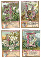 S 526, Liebig 6 Cards, Blumen- Poesie (ref B11) - Liebig