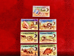CAYMAN ISLANDS 1974 - 7v Neuf ** MNH Marine Life Shells Conchas Coquillages  Pesce Poisson Fish Pez Fische KAIMAN INSELN - Peces