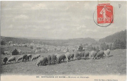 CPA - Montagnes Du DOUBS - Moutons Au Pâturage - Other & Unclassified