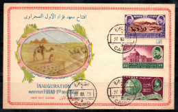 Égypte 1950 Premier Jour 100% Le Caire Oblitéré - Brieven En Documenten