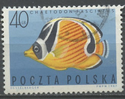 Pologne - Poland - Polen 1967 Y&T N°1600 - Michel N°1750 (o) - 40g Chaetodon Fasciatus - Oblitérés