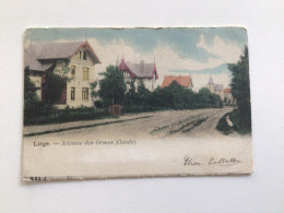 Carte Postale Ancienne (début 1900) Liège Avenue Des Ormes (Cointe) - Lüttich
