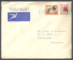 South Africa 1956, Lion & Bull On Airmail Letter To Yugoslavia - Autres & Non Classés