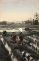 CPA Japan, Japanische Reisbauern - Otros & Sin Clasificación